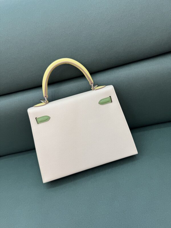 wsxc1743272525973_1 Kelly color - blocking