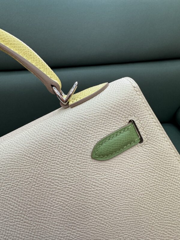 wsxc1743272525975_4 Kelly color - blocking