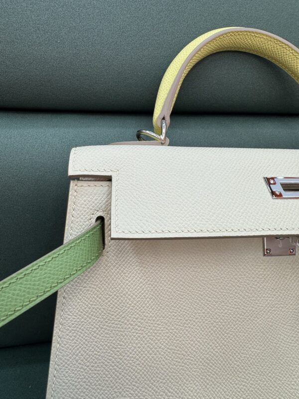 wsxc1743272526338_8 Kelly color - blocking