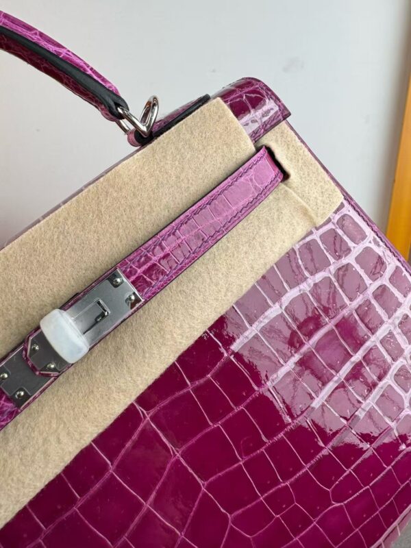 J5 Rose Scheherazade  Kelly 25