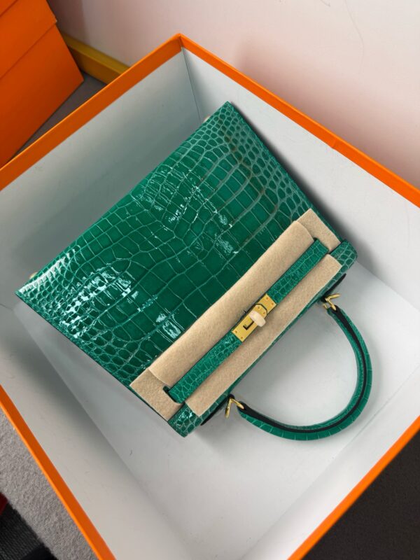 6Q Vert Émeraude  Kelly25