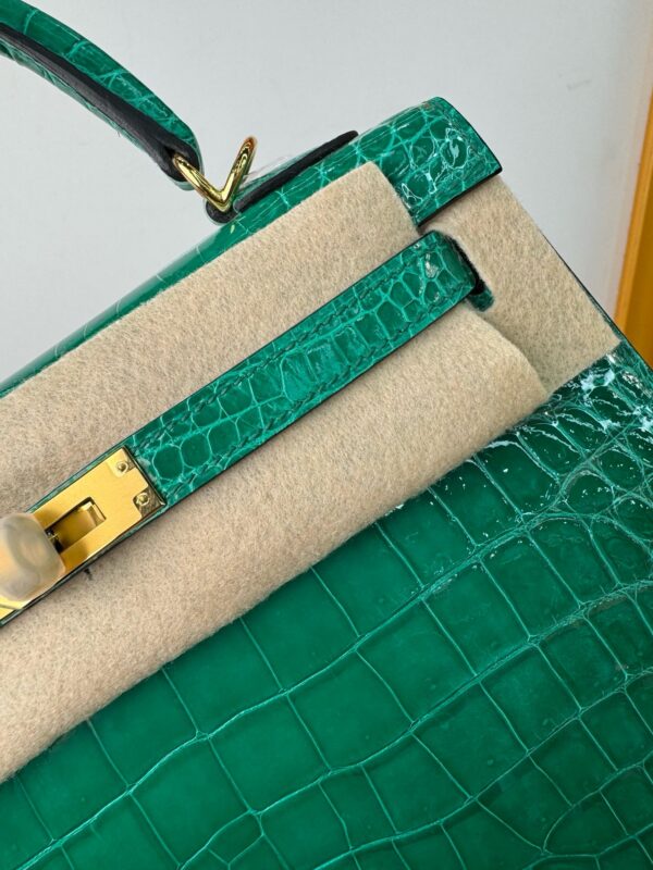 6Q Vert Émeraude  Kelly25